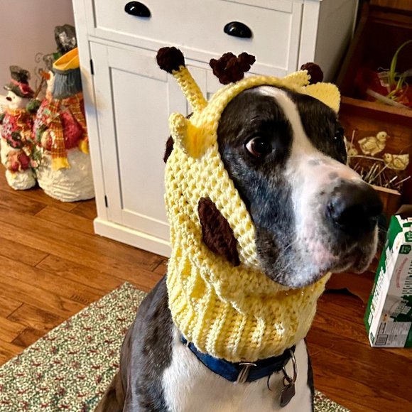 Crochet Giraffe Dog Hat - Picture 1 of 1